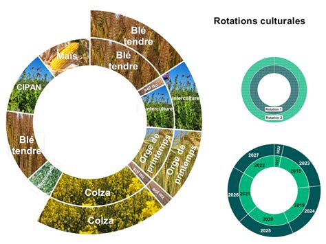 Diagramme des rotations culturales