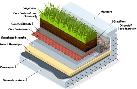 Schéma de végétalisation de façade liée au sol avec support