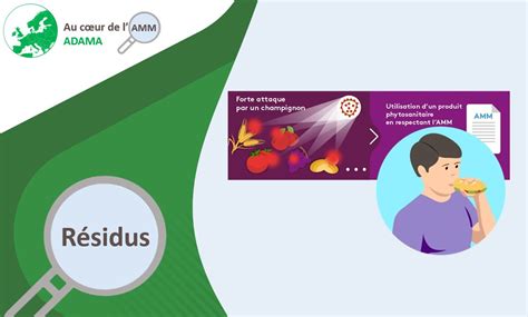Infographie comparant la teneur en résidus chimiques dans les aliments cultivés avec des engrais naturels et chimiques