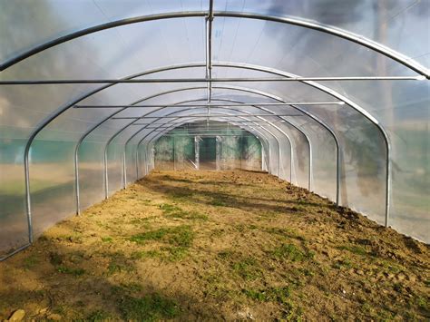 Comparaison des types de serres tunnels