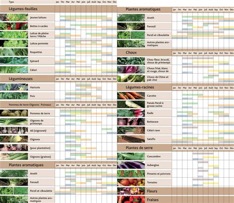 Calendrier de plantation sous serre tunnel