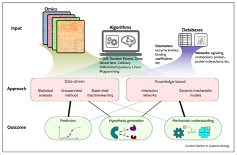 Représentation schématique d'une analyse de malware
