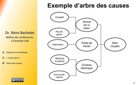 Schéma des causes de bris de branches