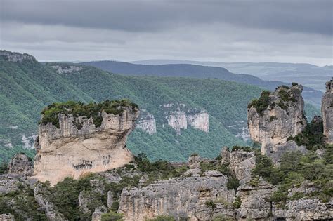 Vue sur les Gorges de la Jonte depuis un point d'escalade