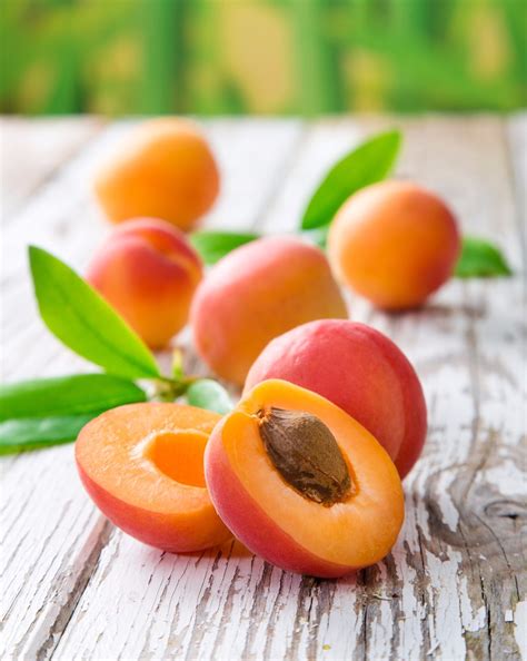 Abricots de Mandchourie mûrs