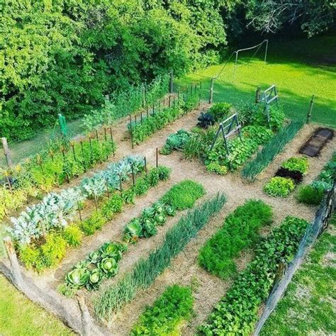 Idées de potagers miniatures originaux