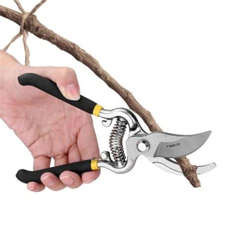 Outils de taille de jardinage et branches de prunier taillées