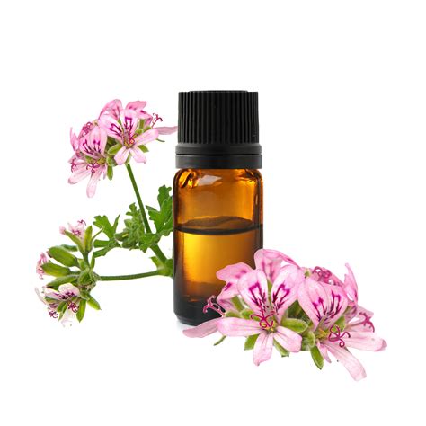 Huile essentielle de Géranium Rosat