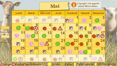 calendrier permaculture mai