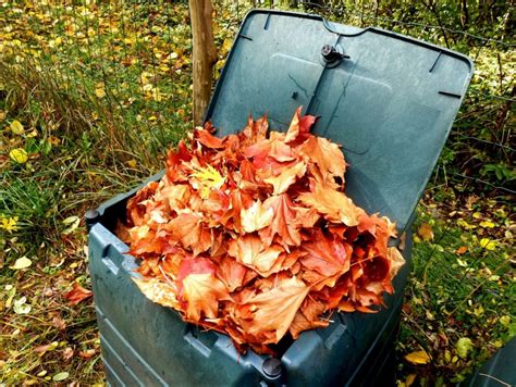 Compost de feuilles mortes