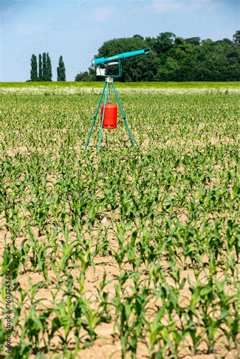 Effaroucheur dans un champ cultivé