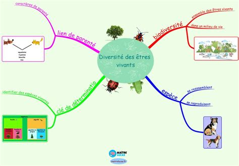Diversité des méthodes d'effarouchement