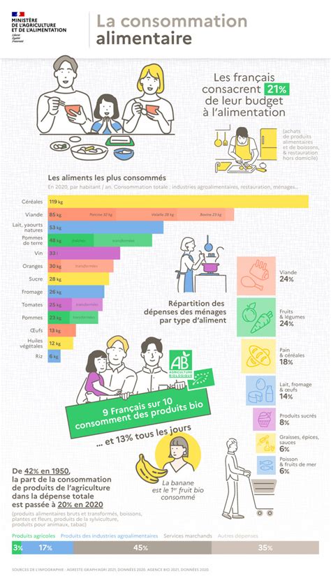 Infographie sur le régime alimentaire de la pie bavarde