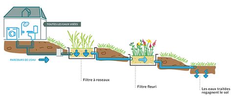 Système de phytoépuration intégré à une maison