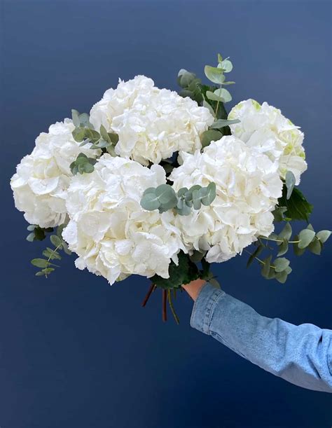 Fleurs blanches de merisier en bouquets printaniers