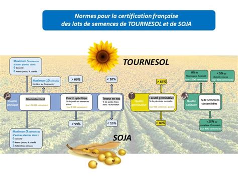 Schéma du processus de certification des semences en France