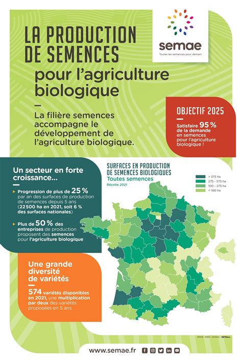 Infographie sur la diversité des semences et les enjeux de la privatisation