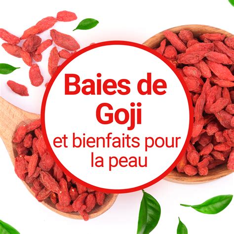 Infographie sur les bienfaits des baies de Goji