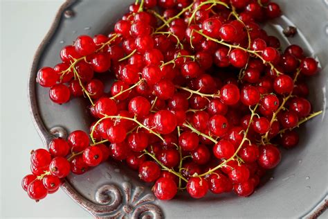 Grappes de groseilles rouges mûres