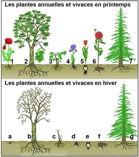 Influence des microclimats sur le jardin