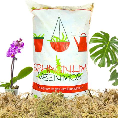 Différents types de substrats pour terrarium, dont la sphaigne