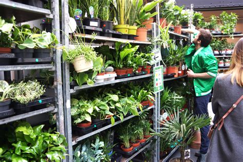 Personnel de Plantes Pour Tous donnant des conseils