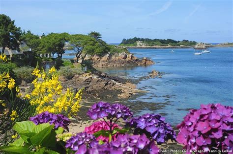 Bord de mer breton avec des fleurs