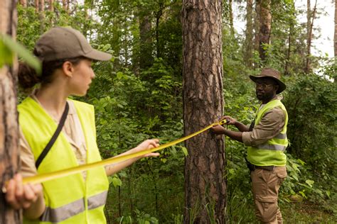 Gestionnaire d'espace naturel observant la faune