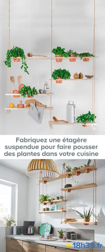 Cuisine avec étagère suspendue et plantes aromatiques
