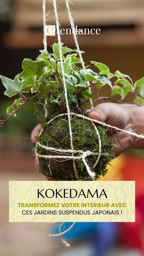 Exemples de Kokedama suspendus
