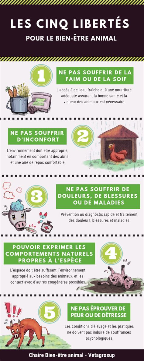 Infographie sur les cinq libertés du bien-être animal