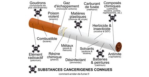 Diagramme des composants d'une cigarette manufacturée typique