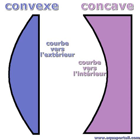 Comparaison visuelle des coupes réalisées par une pince concave et une pince oblique