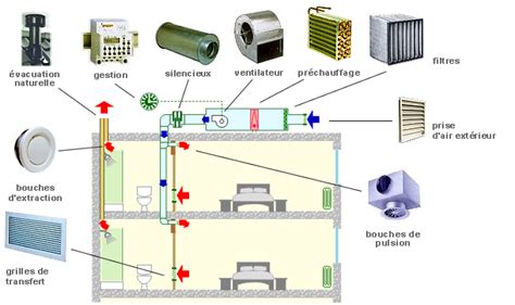 Section transversale d'un système d'aération pour racines