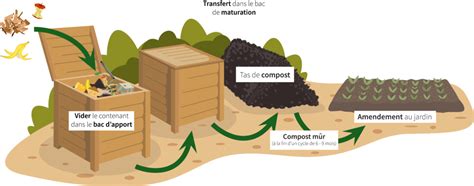 Schéma expliquant le processus de compostage domestique