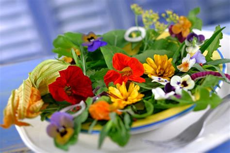 Assiette décorée de fleurs comestibles