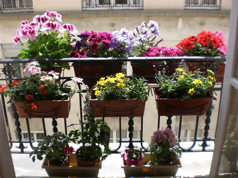 Balcon fleuri avec plantes aromatiques en pot