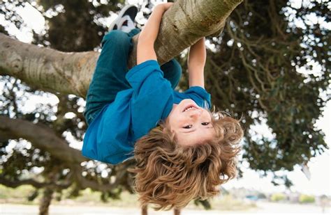 Enfants grimpant dans un arbre