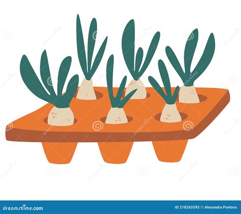 Illustration de jeunes pousses dans un plateau à semis