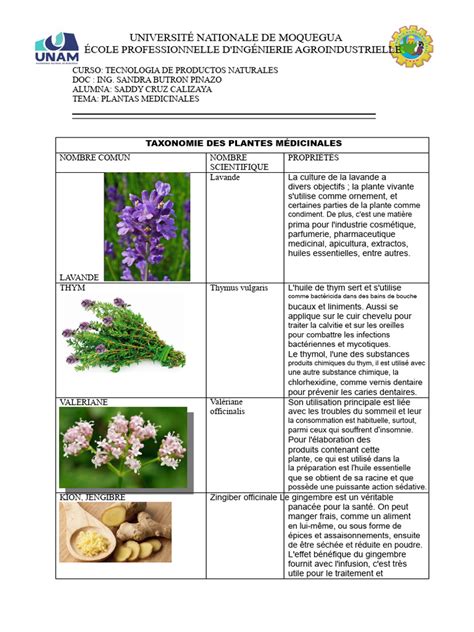 Plantes médicinales aux propriétés anti-diarrhéiques