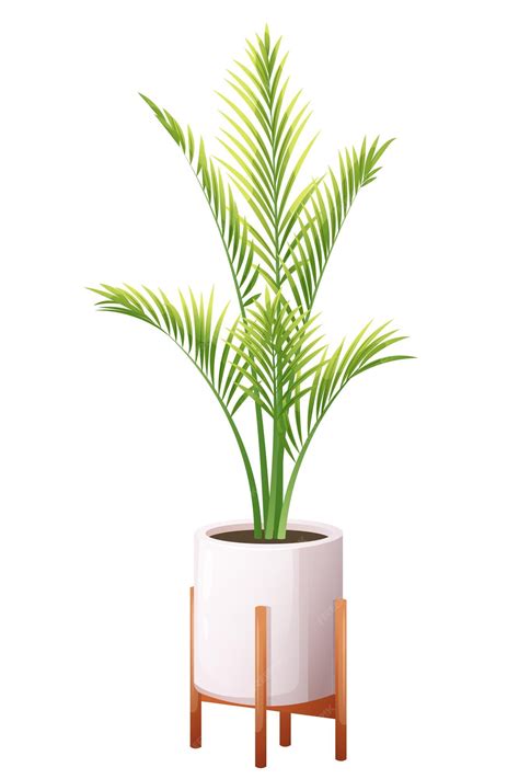 Illustration d'un palmier en pot dans un intérieur lumineux