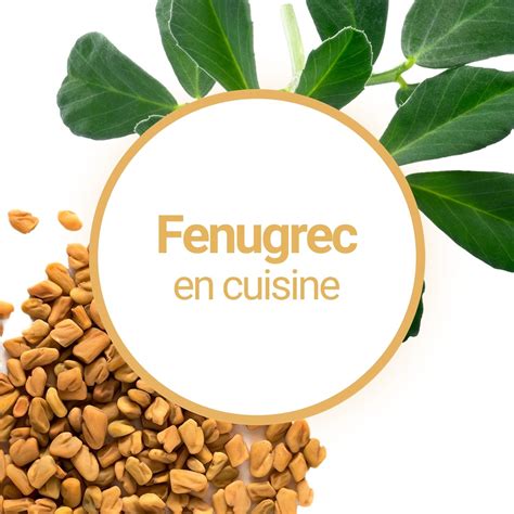 illustration de graines de fenugrec et de gesse