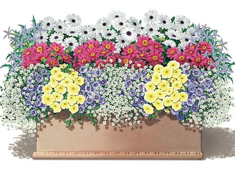 Jardinière fleurie en été