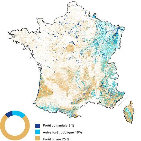 Répartition des forêts par type de propriété en France