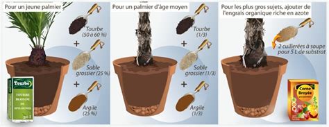 Préparation du substrat pour semis de palmier