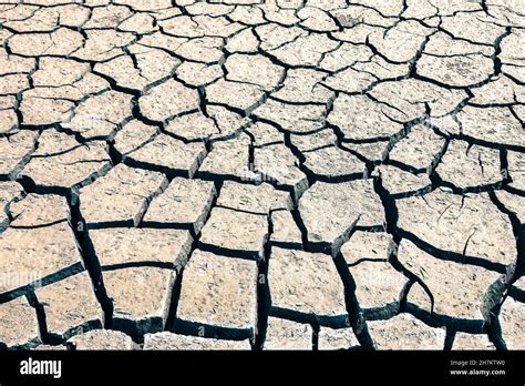 Terre argileuse compacte et sèche avec des fissures