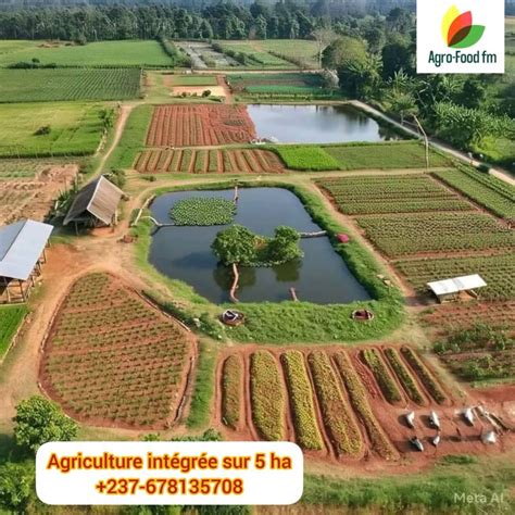 Exemple de ferme intégrée avec maraîchage et élevage