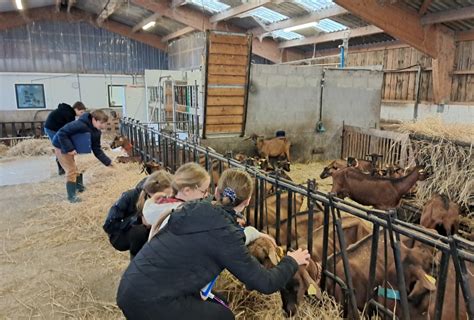 Visite pédagogique d'une chèvrerie