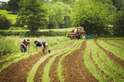 Agriculteur discutant avec un expert en pièces agricoles