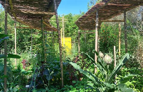 potager en été